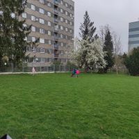 433149962_440372028649999_8090716214863823603_n