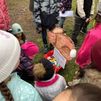 IMG-20240322-WA0026 (2)