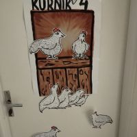 IMG_20240416_224638 IMG_20240416_224638